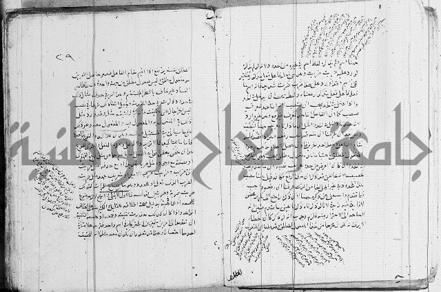 نحو - شرح الكافية