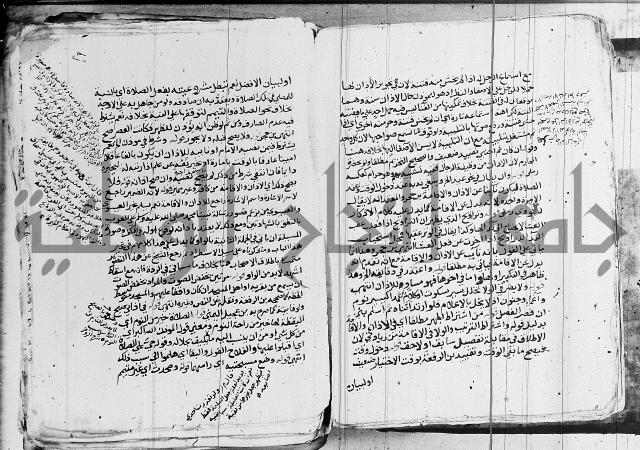 الزيادي على المنهج 