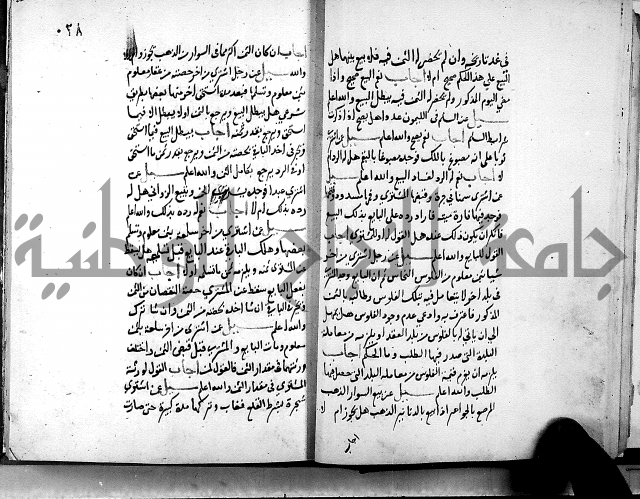 الفتاوى الامينية
