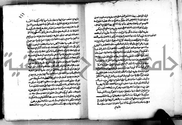 شرح ثلاثيات المسند ج 2 