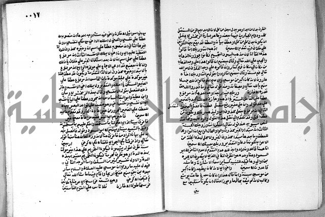 حاشية الجمل على الجلالين 