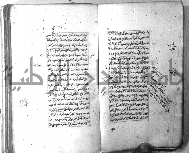 شرح الشافية 