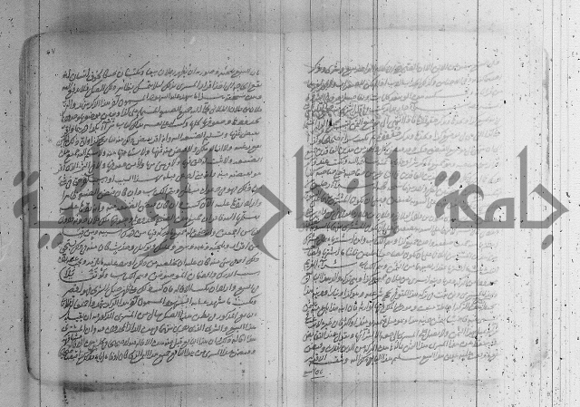 البسيط في الشروط