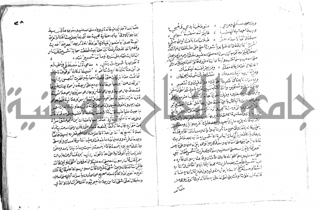 تحفة بن عبد مناف