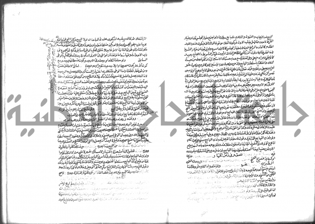 شرح الرملي 2