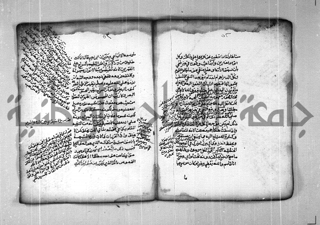 شرح الهمزية  