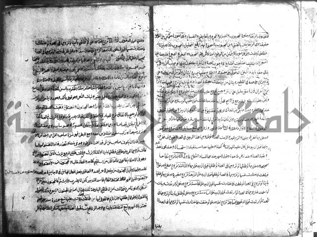 منية الفتى 