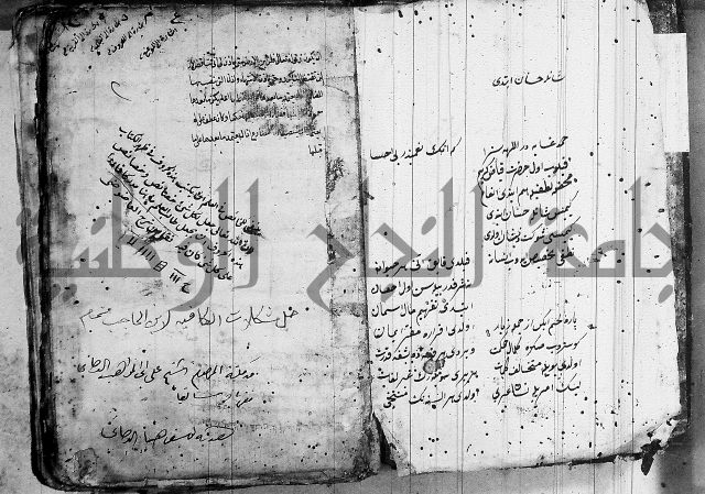 فوائد على الكافية 