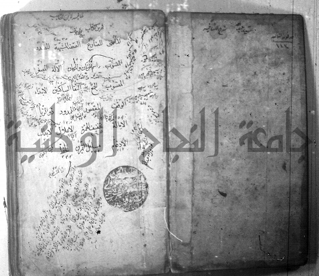 شرح الشافية 