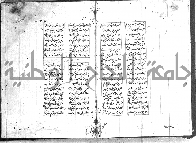 نظم تركي
