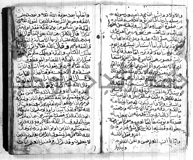 مختصر في العبادات