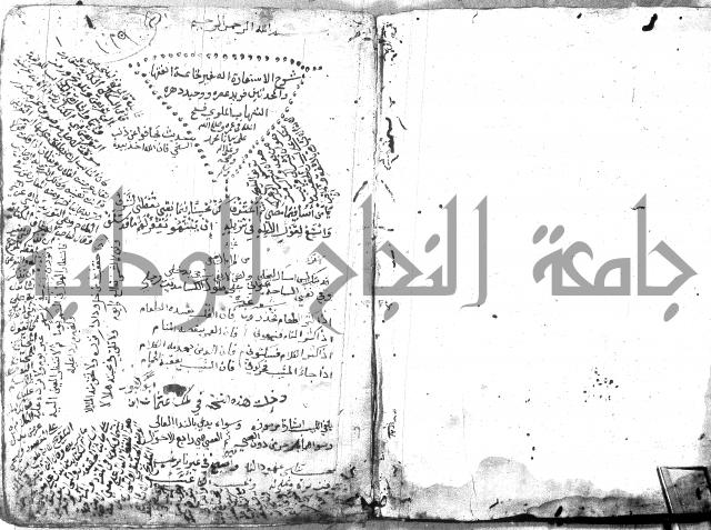 شرح الاستعارة الصغير للملوي