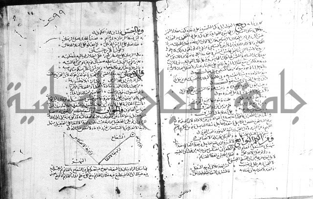 شرح لامية العجم 