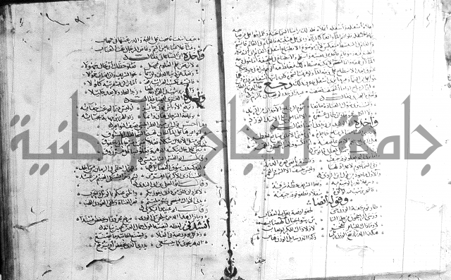 شرح لامية العجم 