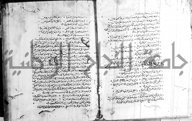 شرح لامية العجم 