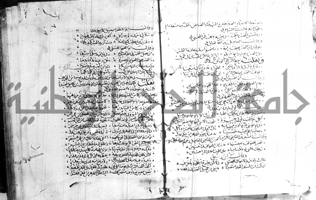 شرح لامية العجم 