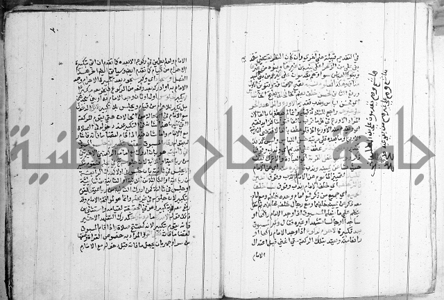 مجموع - كتاب في الفقة