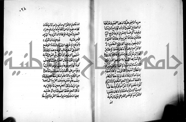 الرسالة البيانية
