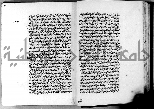 الجواهر الدورية في تنقيح الفتاوى الحامدية ج2 
