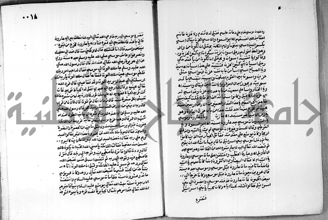 حاشية الجمل على الجلالين 