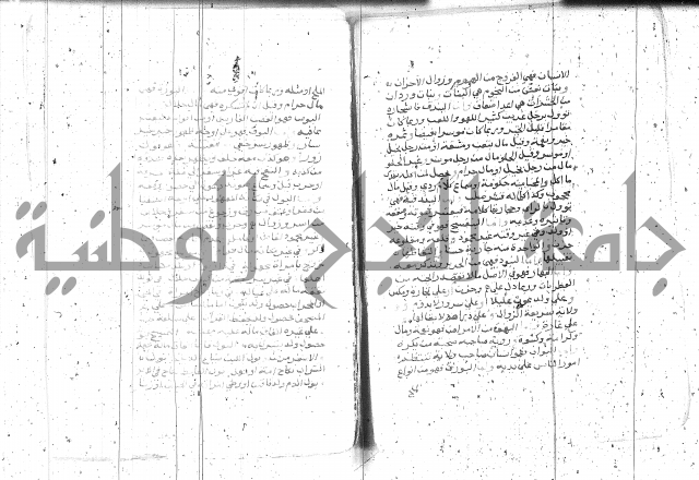 التعريفات الهامة