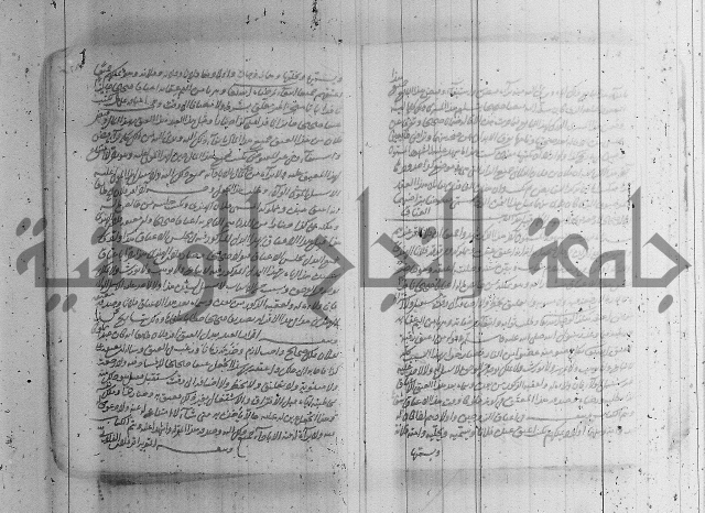 البسيط في الشروط