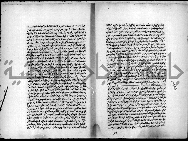 مجهول فقة 55