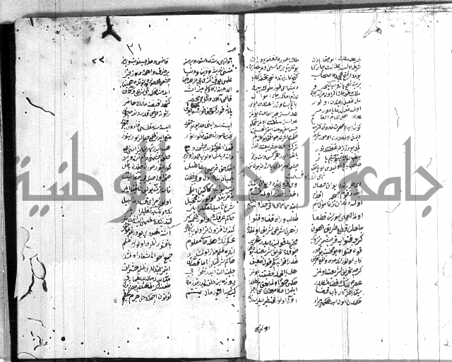 نظم تركي