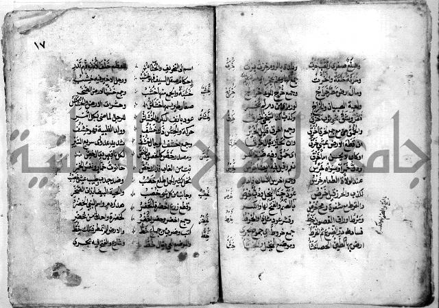 مجهول نظم
