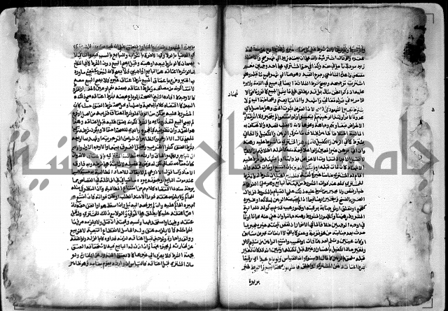  الربع الثاني من شرح الرملي على المنهاج 