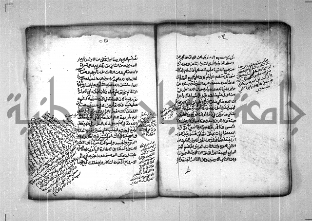 شرح الهمزية  