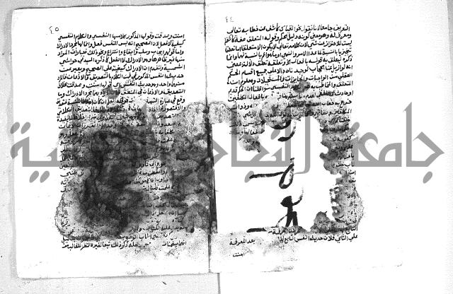الهدهدي 