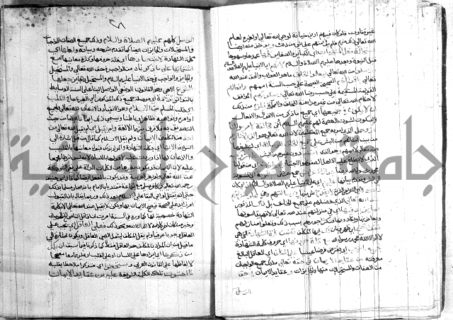 الانوار الالهيه في شرح المقدمه السنوسيه 