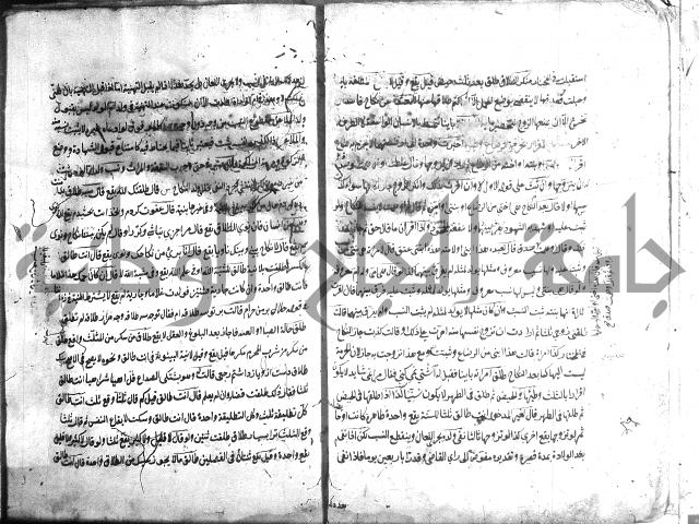 منية الفتى 