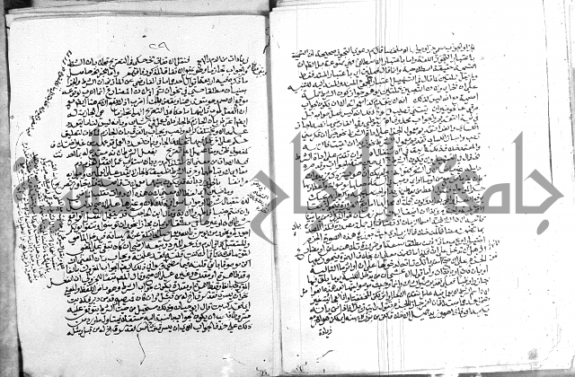 كتاب في اللغة العربية