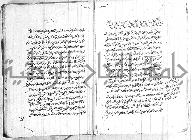 الانتاج المؤلف 