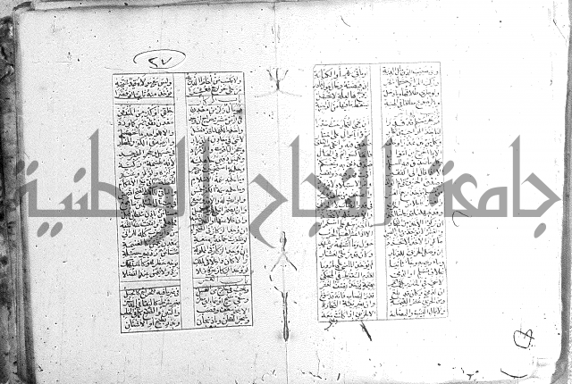 خلاصة التنوير 
