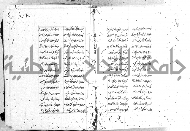 كتاب يوسف زليخا المؤلف 