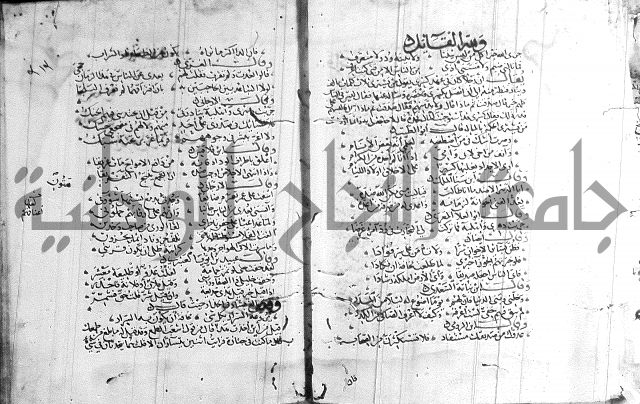 شرح لامية العجم 