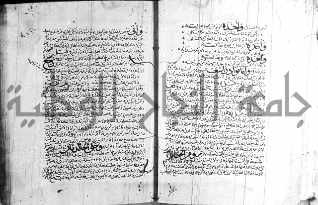 شرح لامية العجم 