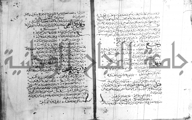 شرح لامية العجم 