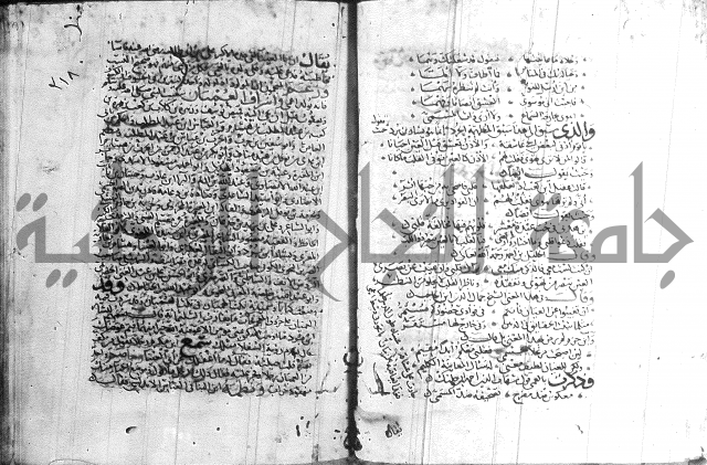 شرح لامية العجم 