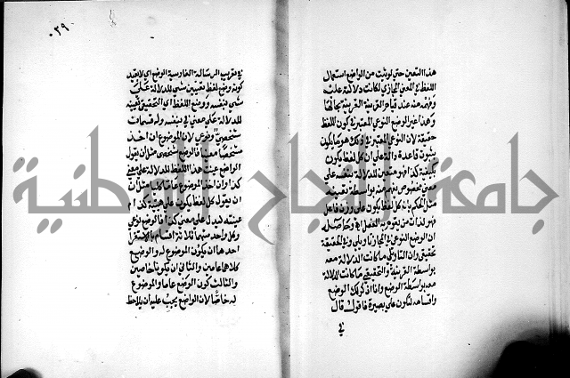 الرسالة البيانية