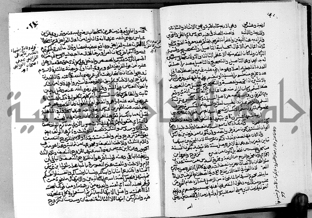 مختصر حاشية القهوتي 