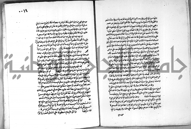 حاشية الجمل على الجلالين 