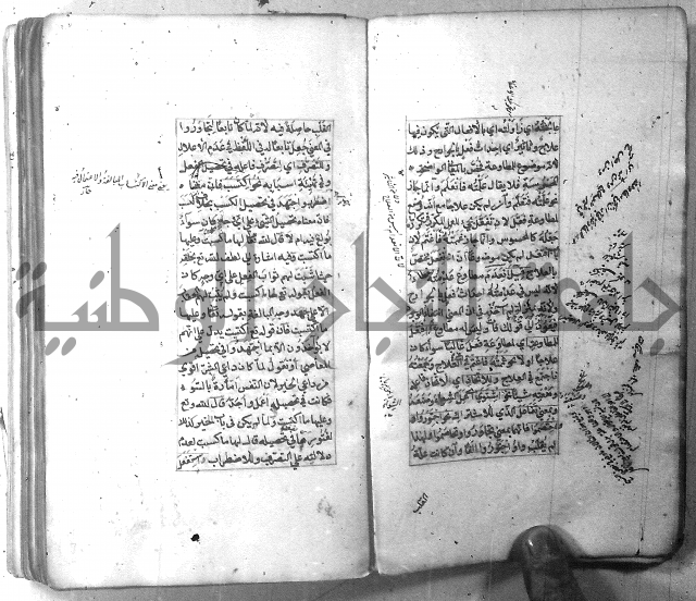شرح الشافية 