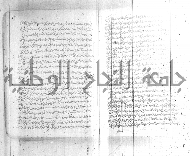 البسيط في الشروط