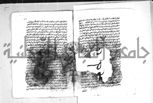 الهدهدي 