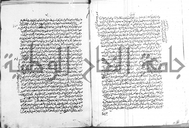 كتاب في اللغة العربية