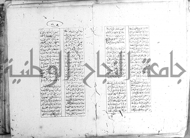 خلاصة التنوير 